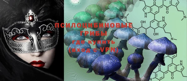 прущие крисы Абинск